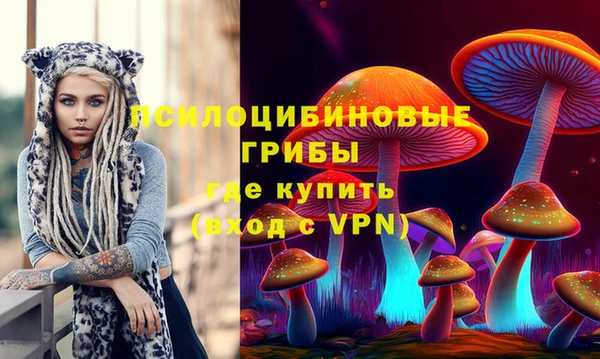 гидра Верея