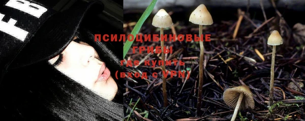 гидра Верея